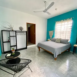 Apartment Cada Iguana, By Jungla 5ta Av.