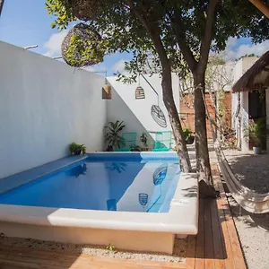 Apartment Casa Akasha